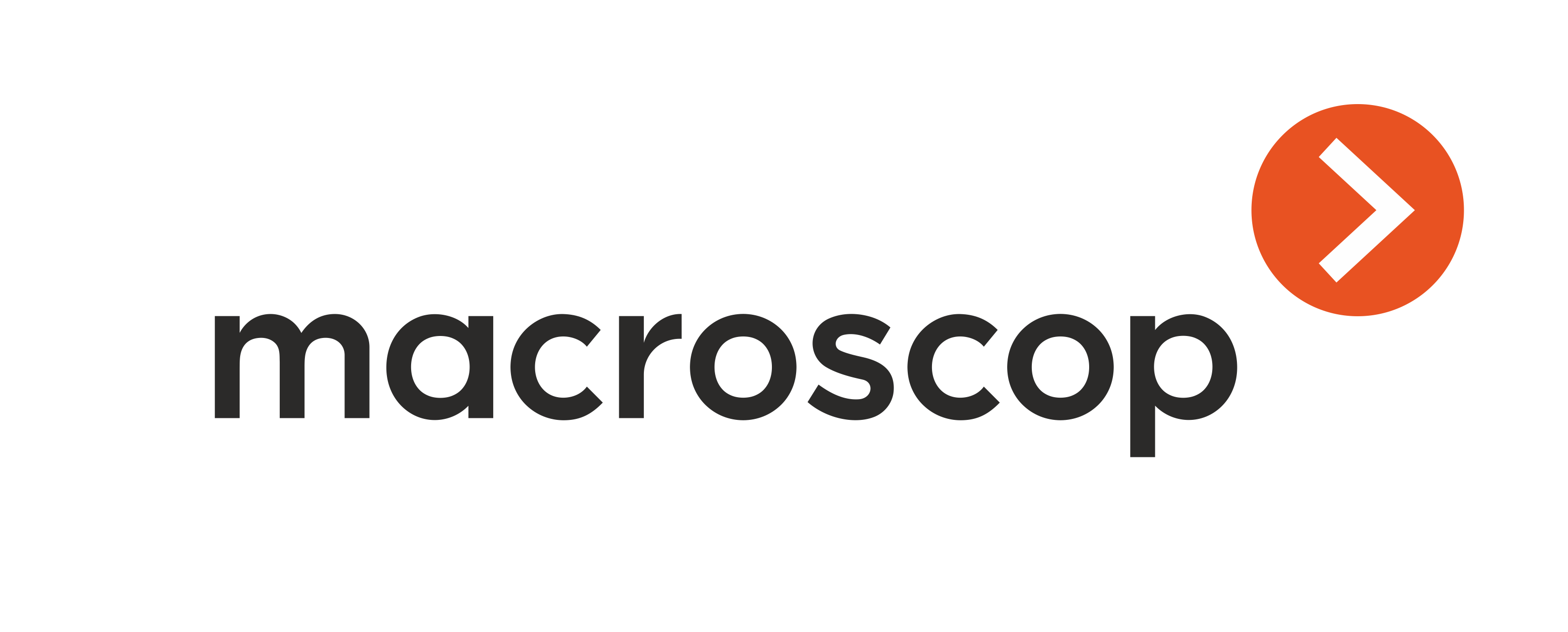 Компоненты компьютерных систем Macroscop MACROSCOP HDD 4Тб
